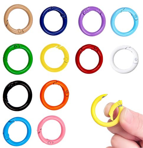 Karabiner Rund, 25mm Karabinerhaken Rund Schlüsselring, Klein Karabiner Schlüsselanhänger O Ring Schlüsselring für Schlüsselring Rucksack Anhänger Paracord(Bunt)