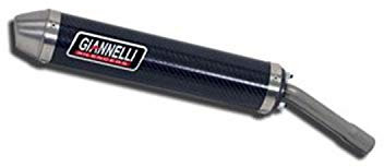 Auspuff für 125 ccm YAMAHA DT 125 R/X Bj. 04-06 Endtopf Carbon GIANNELLI