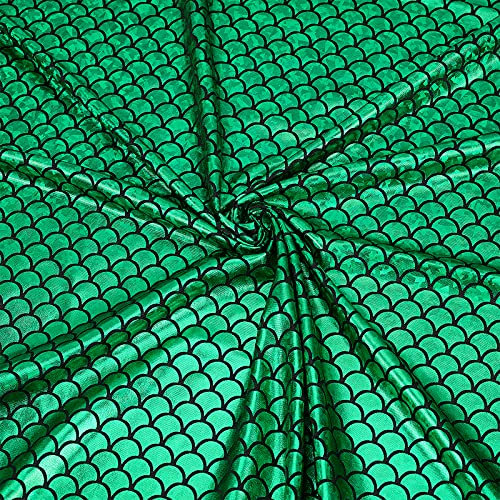 FINGERINSPIRE Meerjungfrau Drachenschuppen Stoff 100x150cm Hologramm Fischschuppen Stoff mit Farbverlauf Streifen Farbverlauf Fischschuppen-Druck Meerjungfrauenschuppen Dekorationsstoff