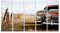 Bild auf Leinwand Oldtimer Wandbild Leinwandbild Bilder für Wohnzimmer GBNY-5P