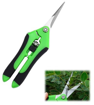 Petit sécateur professionnel, sécateur pour bonsaï, fleurs, récolte, fruits, légumes – Sécateur à buis, cisaille à gazon manuel (vert)