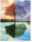 1000 Teile Puzzle Für Erwachsene Und Kinder，Jahreszeiten Baum，Stressabbau Herausforderung Bodenpuzzle DIY Home Wanddekoration（50x70cm）-E78