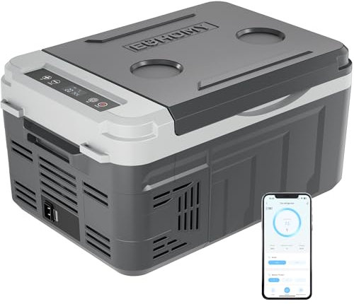 EUHOMY Refrigerador de 12 voltios, compresor eléctrico de 12 cuartos de galón (10L) con control de aplicación, refrigerador de coche de 12/24 V CC y 120-240 V CA, refrigerador de coche --15.6 °C ~