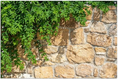 Wallario Outdoor-Poster für Garten oder Balkon Natursteinwand mit Ranken, Motivbanner Größe: ca. 120 x 180 cm, Outdoor-Bild