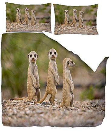 HANTAODG Bettbezug Set Bettwäsche-Set Tier DREI Erdmännchen 135x200cm 3 Teilig mit 2 Kissenbezug Mikrofaser Polyester Hypoallergen Bequem Weich Haltbar Atmungsaktive Reißverschluss