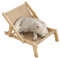 komsoup 2 Katzen Sisal Stuhl, Katzenbett, Katzenstuhl Lounge Balkon Sisal Zum Ausruhen, Katzen-Hochbett, Katzenbett Mit Hammock, Loungesessel Aus Massivem Für Hunde, Katzen, Pool, Zuhause