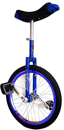 Freestyle Einrad, kleines 12-Zoll-Einrad für 5-jährige Kinder/Kinder/Jungen/Mädchen, 16-Zoll-Einrad für Kinder, 20-Zoll/24-Zoll-Einrad für Erwachsene, Einrad mit Leichtmetallfelge (blaues 24-Zoll