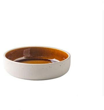 Piatti in ceramica smaltati forno giapponese per la casa ristorante piatti cucina piatto ciotola insalata