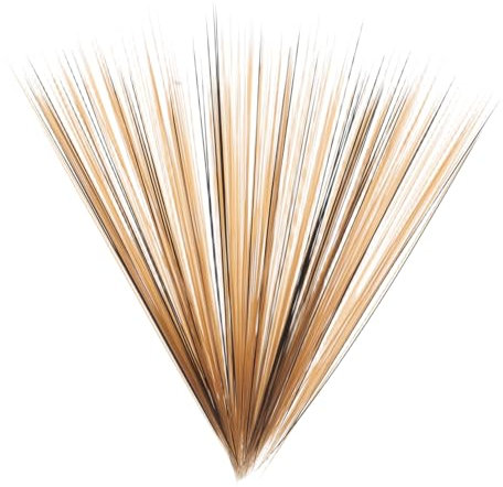 TOYANDONA Realistische Katzen Schnurrhaare 0,2mm Schwarz Braun Gemischt Bastel Tierbarthaare Für Selbstgemacht Stofftiere Und Nadelfilz 250 Stück Transparent Weiß Spitz