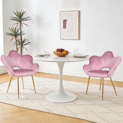 Relbiety Set di 2 Sedie da Pranzo con Braccioli e Schienale,Rosa scuro