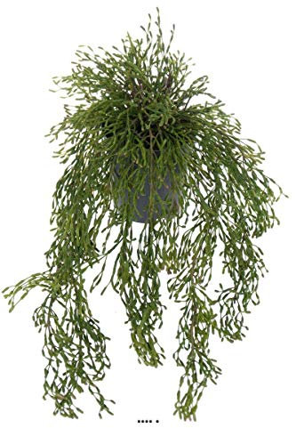 Artificielles.com - Artificial Rhipsalis Mistletoe Cactus Foliage Dense L 65 cm