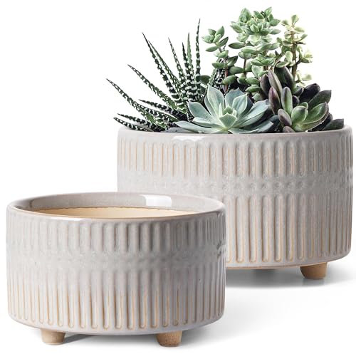 LE TAUCI Bonsai Pot, 16.5+20 cm Ceramic Indoor Plant Pots with Drainage Holes, Modern Cylindrical Decorative Succulent Plant Pot, Gifts for Mom, Set of 2, Reactive Glaze Star White