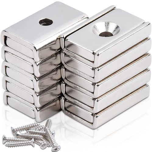 FPMYB 10 Stück Magnete Stark 20x13.5x5mm, Neodym Magnete Extra Stark Neodym Magnete mit Loch, Magnete Schrauben, Starke Magnete für Küchen, Badezimmer, Büros, Schule