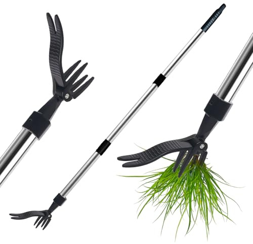 Lichamp Extracteur de mauvaises herbes, 1,12 m, outil de jardin avec pédale et design à 4 griffes pour désherber sans plier, arracher les racines profondes et enlever les pissenlits pour pelouse