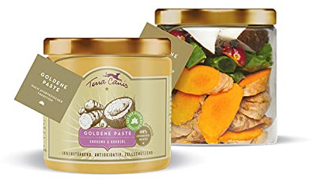 Terra Canis Goldene-Paste mit Kurkuma & Kokosöl, 250ml I Premium Hunde-Nahrungsergänzung zur Stärkung des Immunsystems und Antioxidativ wirkend I Glutenfrei & liebevoll hergestellt