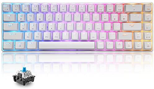 T8 RGB 60% Clavier Mécanique, Clavier de Jeu Filaire Layout Compacte 65%, 18 LED RVB Chroma Rétroéclairées, QWERTY Mini 68 Touches Full Key Anti-ghosting Pour PS4, Xbox, PC, MAC - Blue Switch/White