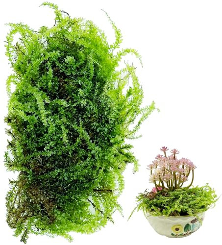 Cayway Paesaggi Ciuffi D'Erba Modello, Muschio Artificiale, Muschio Verde Finto, Muschio Verde Artificiale per La Ferrovia Del Paesaggio Del Treno (Style B)