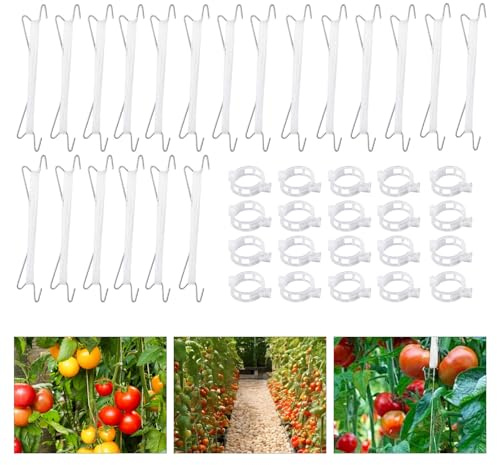 HXRCDFJY 20 Stück Tomatenhaken Metall, Tomatenhaken mit 20 Pflanzenschnalle 3m Seil, Tomatenhaken mit Schnur, Tomatenstützhaken Pflanzen, Tomatenhaken Set für Hängende Tomaten und Gurken