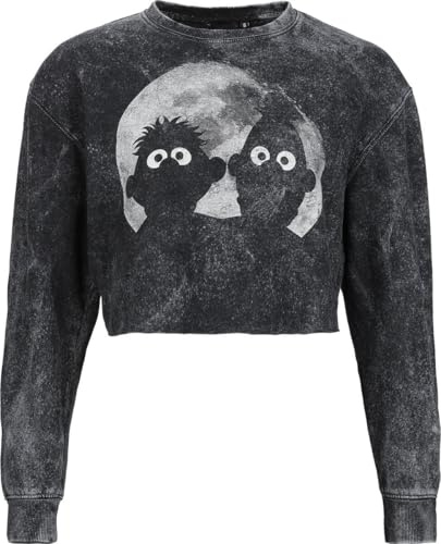 Sesamstraße Ernie und Bert - Moonlight Frauen Sweatshirt grau