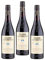 GAMBRINUS ELISIR 70 CL 3 BOTTIGLIE