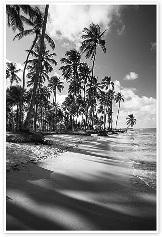 Palmiers tropicaux sur une plage brésilienne Poster de Alex Saberi 20 x 30 cm Noir et blanc Tableaux Décoration murale