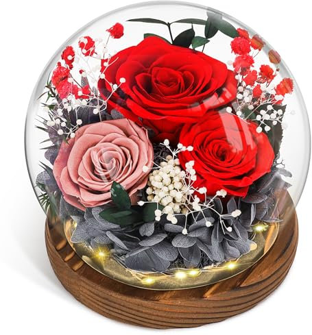 CSYY Rosa Eterna, Regalo per la Festa della Mamma Luci a LED Fiore Conservato Sfera di Cristallo Vetro Garofani Conservati Infinity Rose Fiore Luce Regali Eterni Donne Fidanzata Moglie Rosso