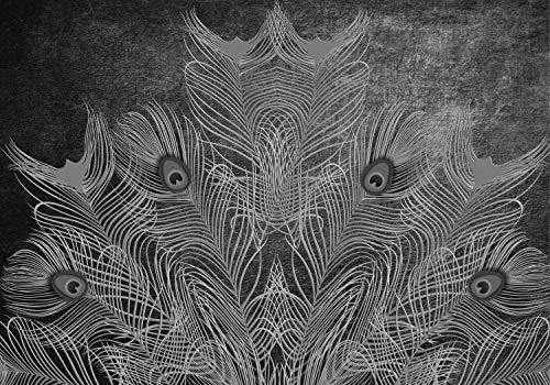 wandmotiv24 Fototapete Schwarz Feder, 400 x 280 cm - selbstklebende Strukturtapete, Wanddeko, Wandbild, Wandtapete, Wand, Pfau, Vintage M2084