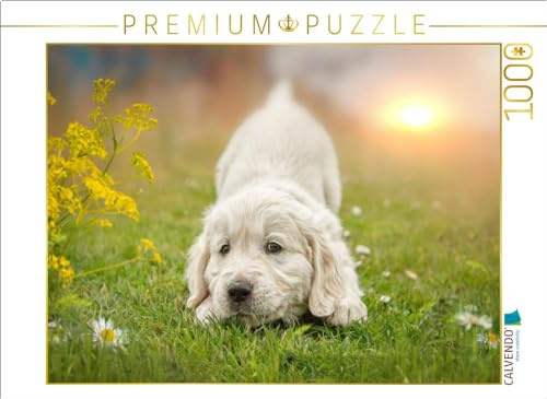CALVENDO Puzzle EIN Motiv aus dem Kalender Golden Retriever... Herzenshunde | 1000 Teile Lege-Größe 64 x 48 cm Foto-Puzzle für glückliche Stunden