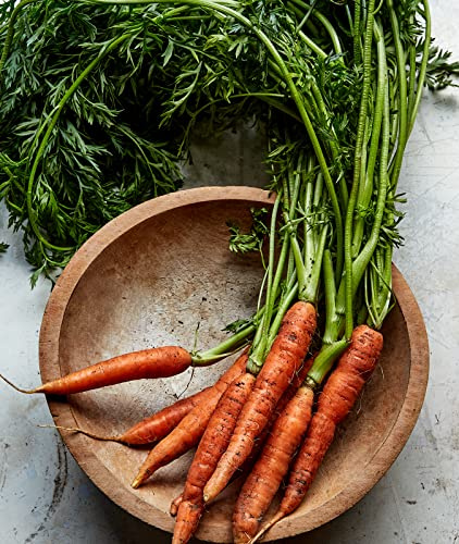 Burpee Organic Scarlet Nantes Carrot Seeds