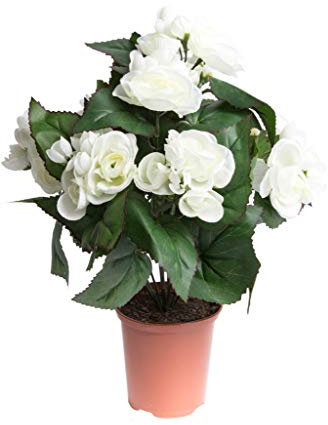 Botanic-Haus künstliche Begonie im Kunststofftopf (Creme-weiß (9 Stiele))