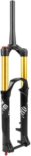 180 mm de débattement 27,5/29 Pouces DH Fourche de Descente VTT Suspension pneumatique pour vélo Axe traversant Conique 15 x 110 mm Réglage du Rebond, 29 Pouces