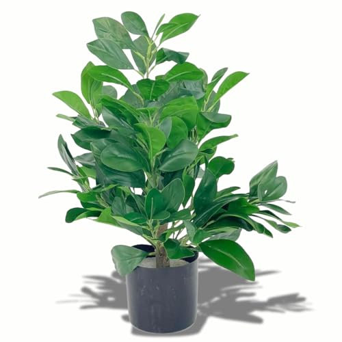 AMH - Artificial Plant in Pot - Fake Tropical Monstera Tree with Greenery Leaves Stems - 50cm Tall Plant for Office Desk Shelf Garden Home Bathroom Windowsill Decoration