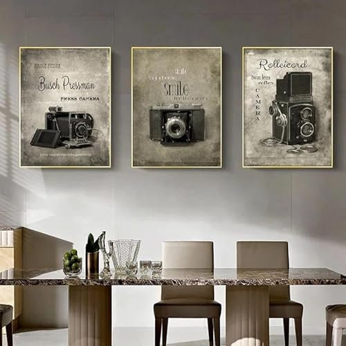Sedomax Affiches d'appareil photo Vintage, impressions sur toile, Art littéraire rétro, images d'art murales pour décor de salon, peinture de maison, décoration intérieure 30x40cmx3 sans cadre