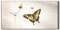 Coloray Uhr auf Leinwand - Weiße Hände - Dekoration Wand Uhr Segeltuch Ohne Tickendes Geräusc Wohnzimmer Kunst - Käfer Insektenschmetterling.