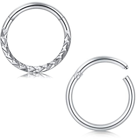 Briana Williams 2stk Piercing Helix Ring Chirurgenstahl 1.2mm Nasenpiercing Ring Dünn Nasenring 8mm Septum Clicker Segmentring Ohrring