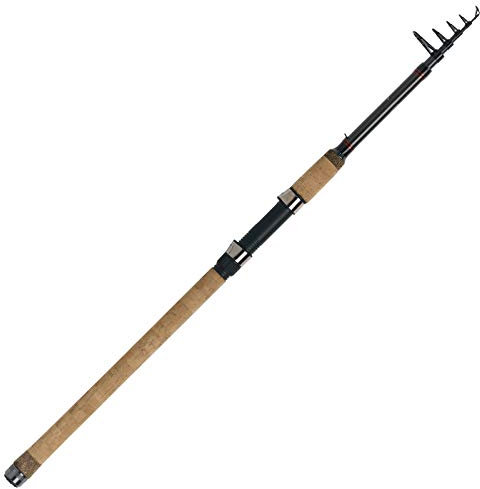 WFT Fischrute River Tele 2,70m 50-150g Allroundrute