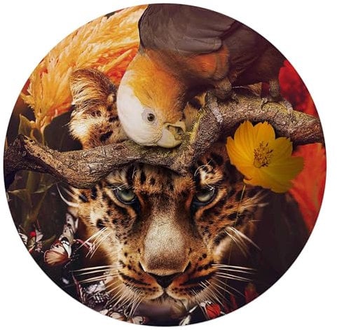 REINDERS Glasbild, Cheetah, Wohnzimmer, Poster, Wanddeko, Glasbilder, Glas, Braun, Ø 70cm