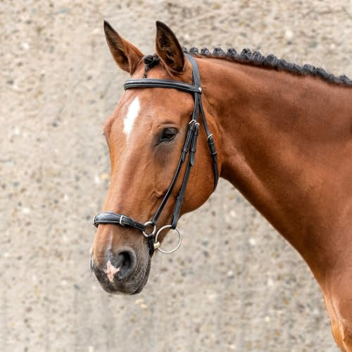 SUNRIDE Hannoveranische Trense für Pferde (Hannover) - mit Zügeln - weiches Echtleder - extra Polsterung - anatomisch, verstellbar - handgefertigt - rostfrei - schwarz (Pony)