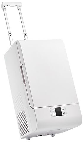 ZCBYBT Portable Refrigerator 18.5L Mini Fridge Freezer12V/24V For Vehicles,Travel,Fishing,Camping