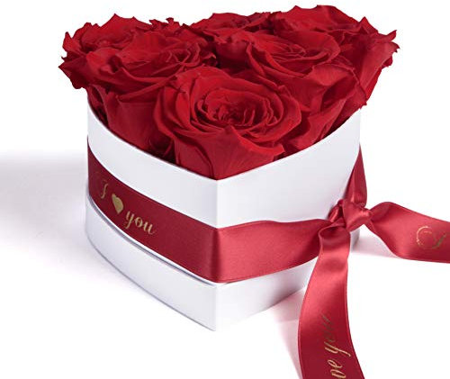 ROSEMARIE SCHULZ Heidelberg Infinity Rosenbox in Herzform konservierte Rosen Geschenk für Frauen (I Love You, Rot)