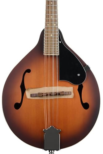 Fender PM 180E - Mandoline