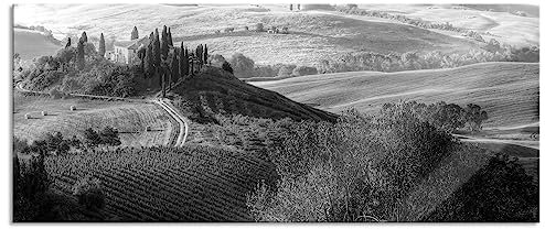 Pixxprint Glasbild Panorama, Wandbild aus Echtglas, Heuballen Toskana, 120x50 cm, inkl. Aufhängung und Abstandshalter