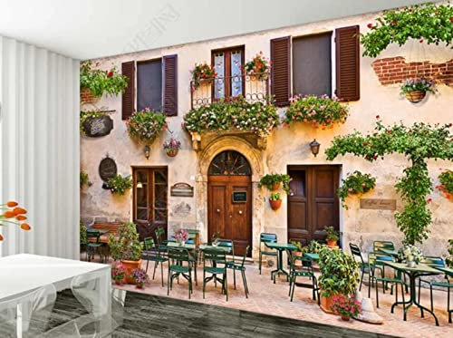 QEETapete Papier Peint Panoramique Fenêtre Fleur De Vigne Papier Peint Nature Intissé Murale Chambre Salon 250x175cm-SJJ01580