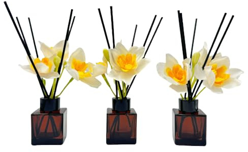 Empty Reed Diffuser Bottle and Black Reed Diffuser Sticks Set for Bathroom Hotel Home Decoration (3, Brown, 50ml)