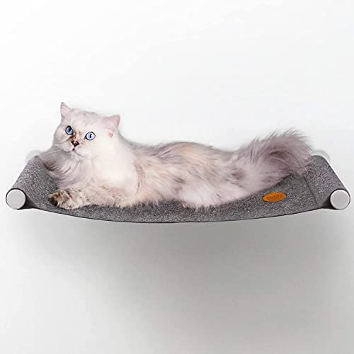 Lucky Lamb ® CozyCat v2 - Die Katzen Hängematte aus Filz | Der besondere Schlafplatz für Katzen und Kater oder Kittys in 60x30cm bis 8kg grau athrazit | Stabiles Katzenbett Liegeplatz mit Wandmontage