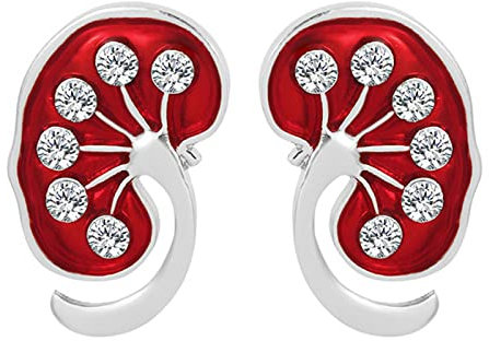 HCMA Rote Niere Kristall Emaille Pin Niere Pin Medizinisches Geschenk Arzt Krankenschwester Broschen Gold Silber Farbe Trendy Schmuck Damen Accessoires