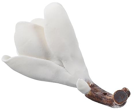 DIYEAH Ceramic Magnolia Plum Blossom Shape Brush Holder Locker Shelf Magnolia Figure Spoon Rest Paint Brush Holder Magnolia Decor Practice Supplies Plum Bossom Resin