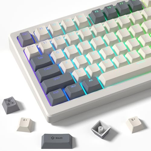 dagaladoo Retro Double Shot PBT keycaps 127 Keys dye sumlimation Shine Through keycaps Set Cherry Profile Custom Keyboard Key caps for 60/65/75/TKL/96/100% US Layout Mechanical Keyboard(Grey/Beige)