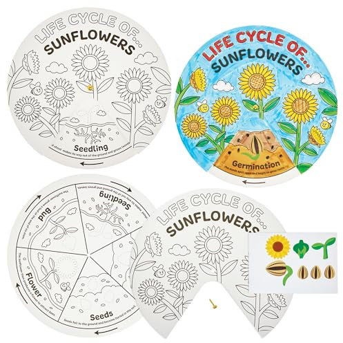 Baker Ross FN468 Sunflower Life Cycle Colour-in Sticker Wheels - Pack of 5, STEM, Science, Maths and Learning Aids for Kids and Schools