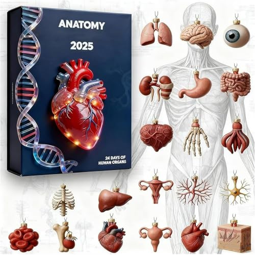 Adventskalender Anatomie, Adventskalender 2025 Greys Anatomy, 24 Tägiger Weihnachtskalender, Inklusive 2D Acryl Organmodellen, Speziell Für Medizinstudenten Und Anatomie Begeisterte (2PCS)